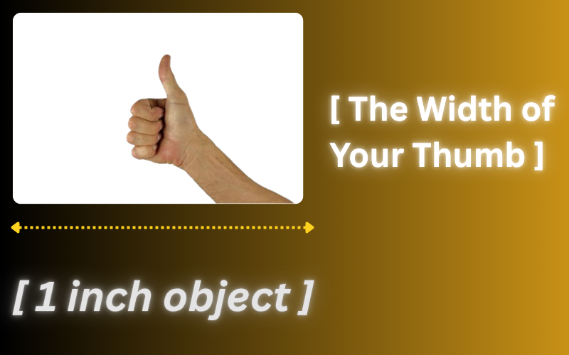 how long is 1 inches